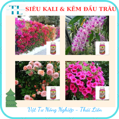 Phân Bón Đầu Trâu Siêu Kali Kẽm Cho Cây Cảnh, Cây Hoa, Cây Ăn Trái 100 gram, Giúp Ra Nhiều Hoa, Đậu Trái, Trái Ngọt