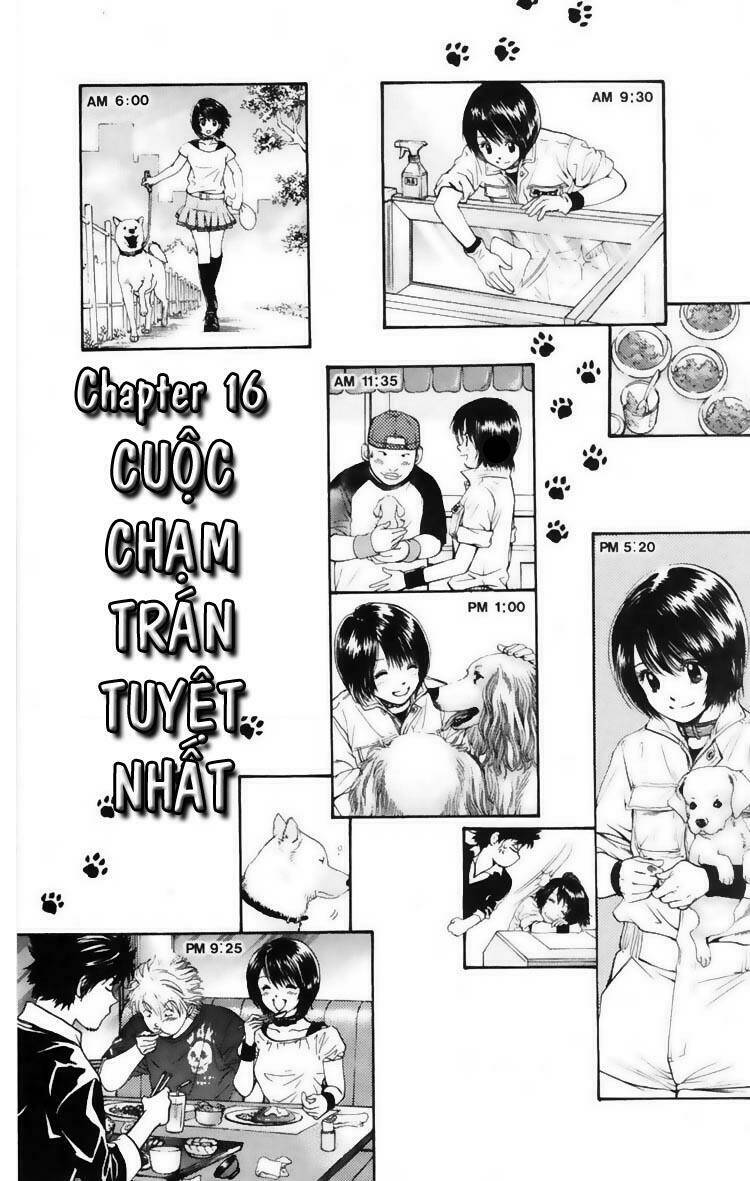 cô nàng yêu chó chapter 16 1