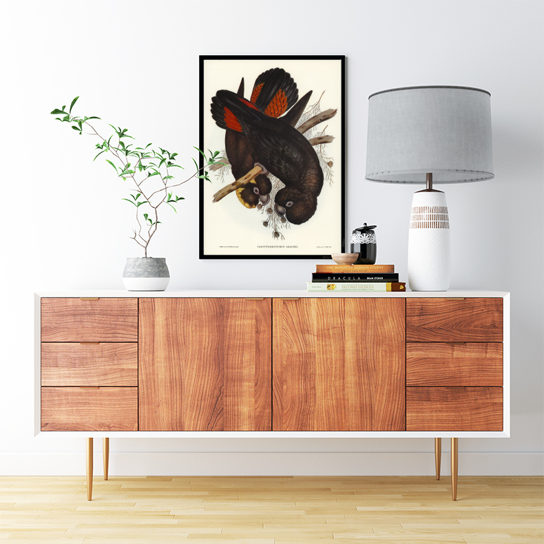 Tranh Canvas Động vật Chim Vẹt cao cấp. , Khung hợp nhôm chống ẩm, bền, đẹp, nhiều kích thước. Phù hợp nhiều không gian sang trọng.
