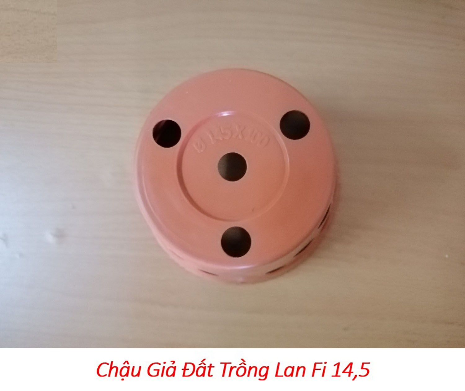 100 chậu giả đất trồng lan Fi 14.5 - đường kính 14.5cm