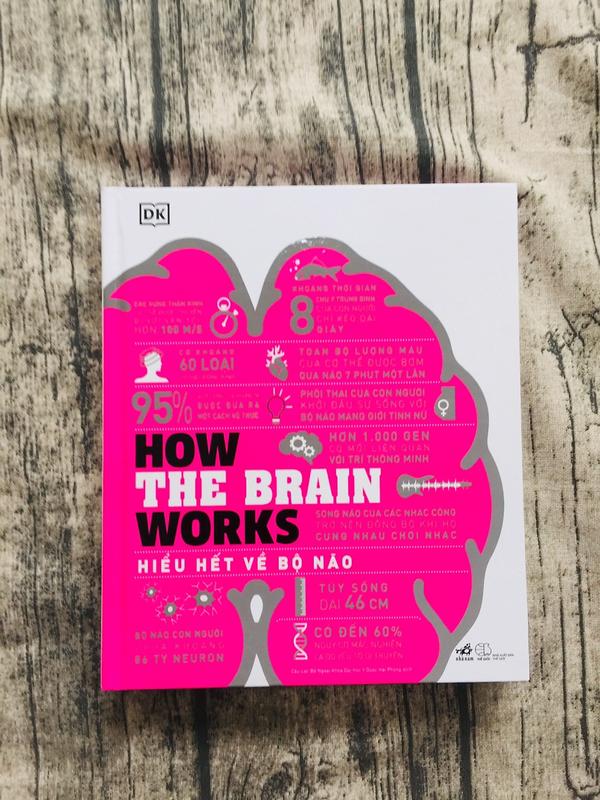 Sách - Hiểu hết về bộ não (How the brain works) (Nhã Nam HCM)