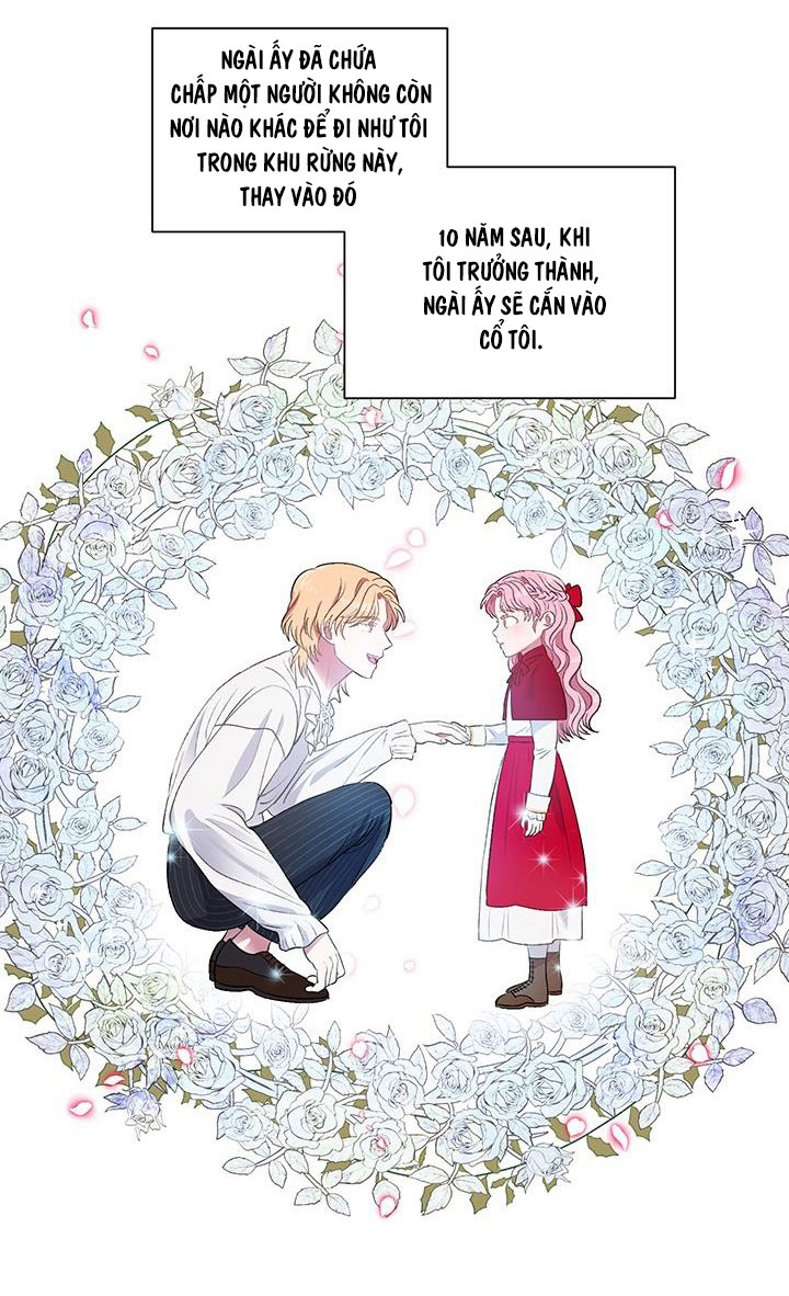 elizabeth chapter 10 33