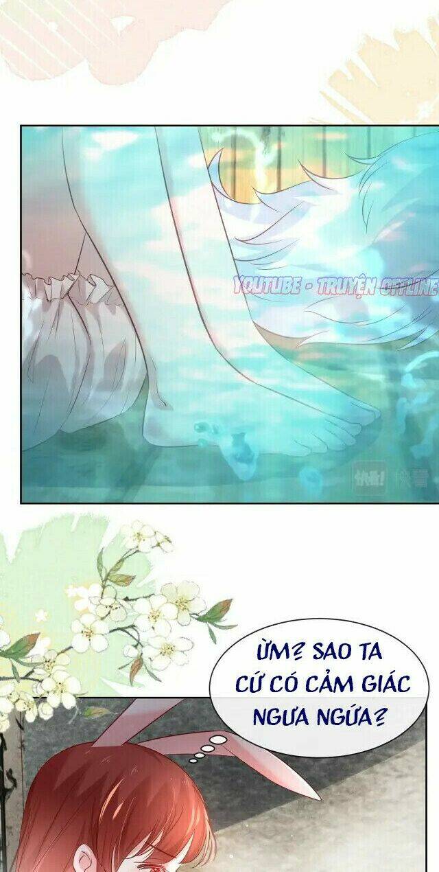 hắc hóa nam chính trực tuyến nuôi thỏ chapter 31 26