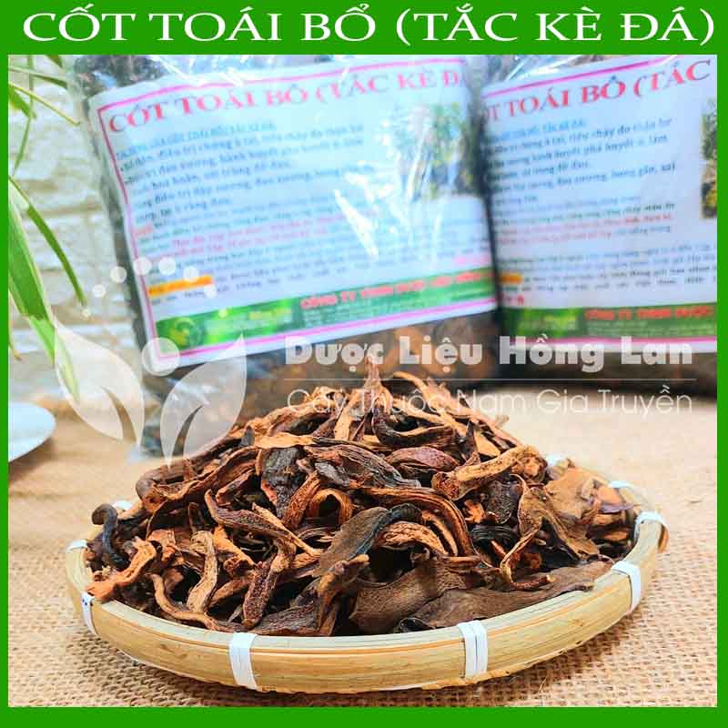 Tắc Kè Đá (Cốt Toái Bổ) khô 1kg