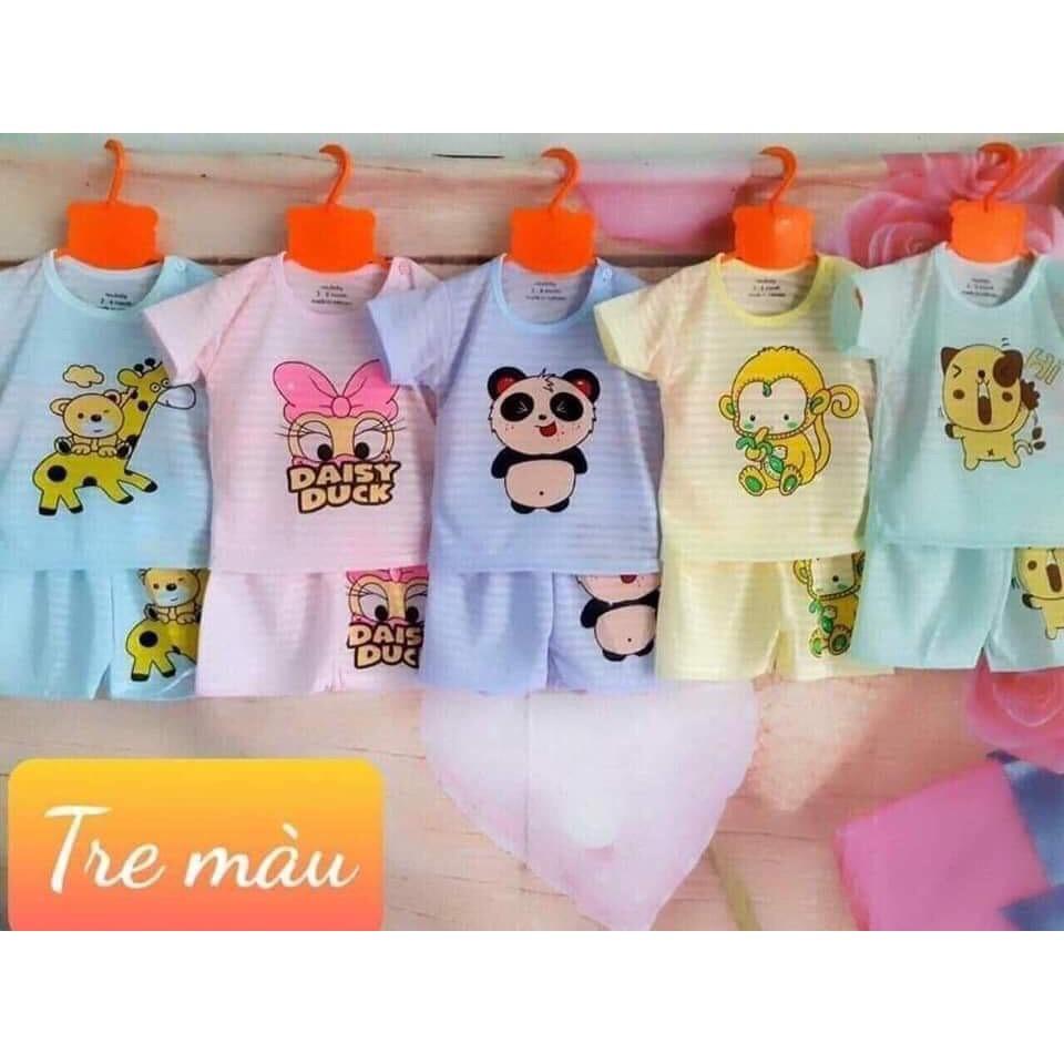 Combo 5 bộ cotton giấy màu cộc tay cho bé