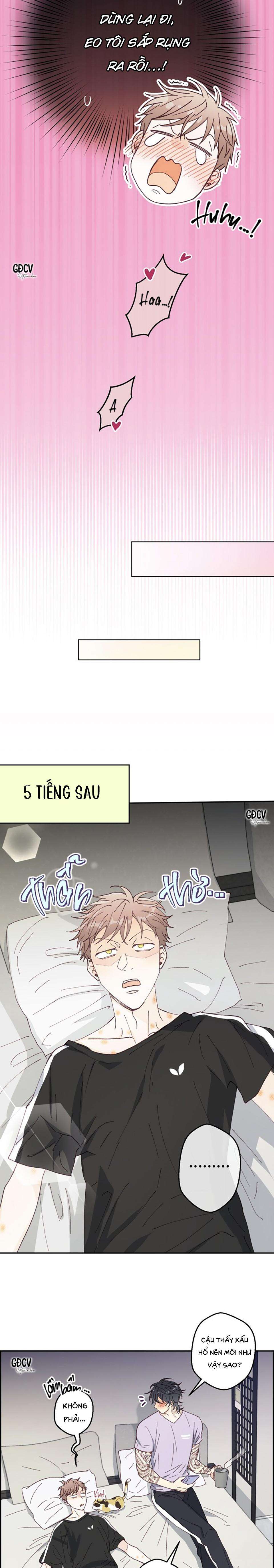 bạn trai vô song của tôi chapter 12 17