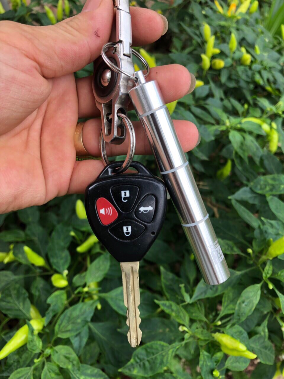 Bộ vệ sinh ráy tai inox Đức gồm 6 và hộp đựng, treo móc khoá xe dễ dùng