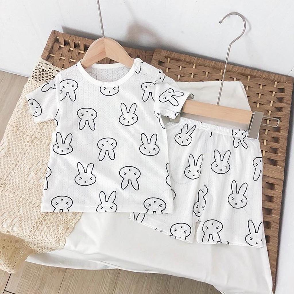 Quần áo trẻ em - bé trai, bé gái thỏ trắng cao cấp loại 1