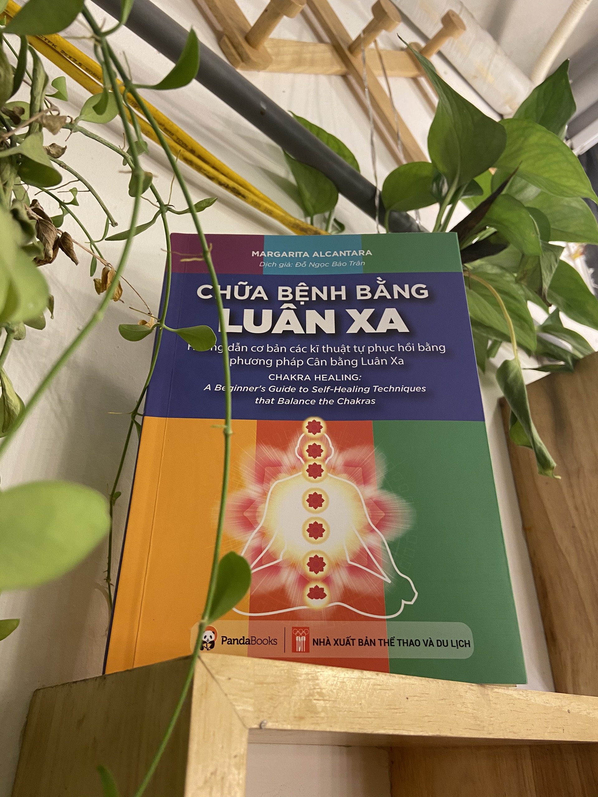 Sách - Chữa bệnh bằng luân xa - Hướng dẫn Cơ bản các Kĩ thuật Tự phục hồi bằng phương pháp Cân bằng Luân Xa