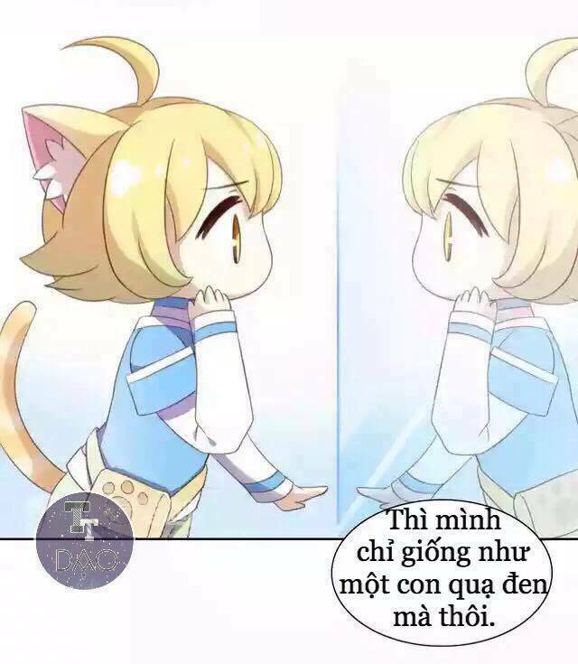 dưới móng vuốt mèo chapter 11 6