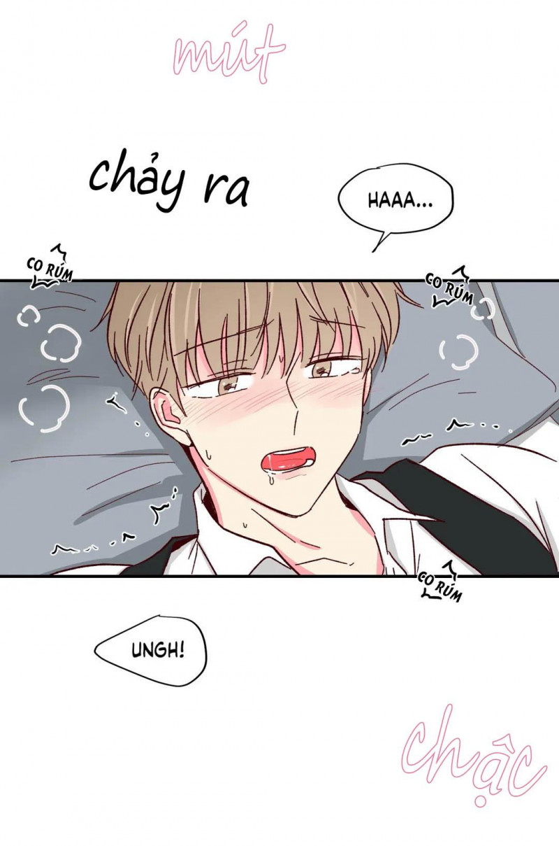 món tráng miệng của sếp tổng chapter 46 10