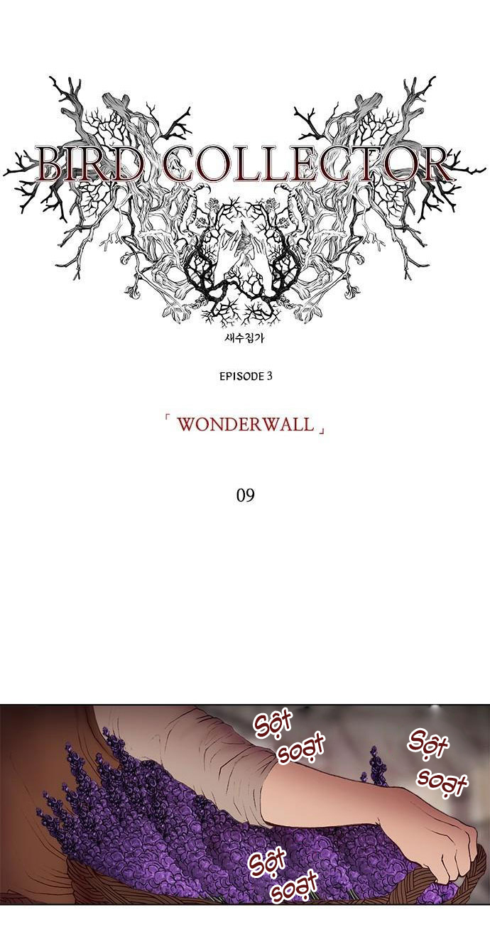 tôi chính là nhà sưu tập chim chapter 9 14