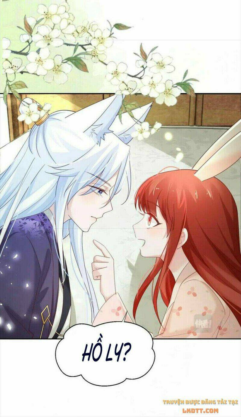 hắc hóa nam chính trực tuyến nuôi thỏ chapter 60 6