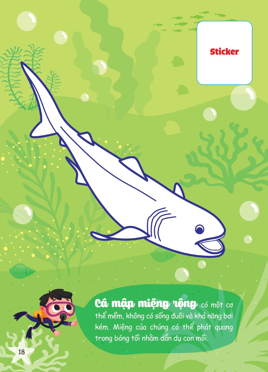 Con Tô Màu - Thám Hiểm Đáy Biển Sâu_Mega