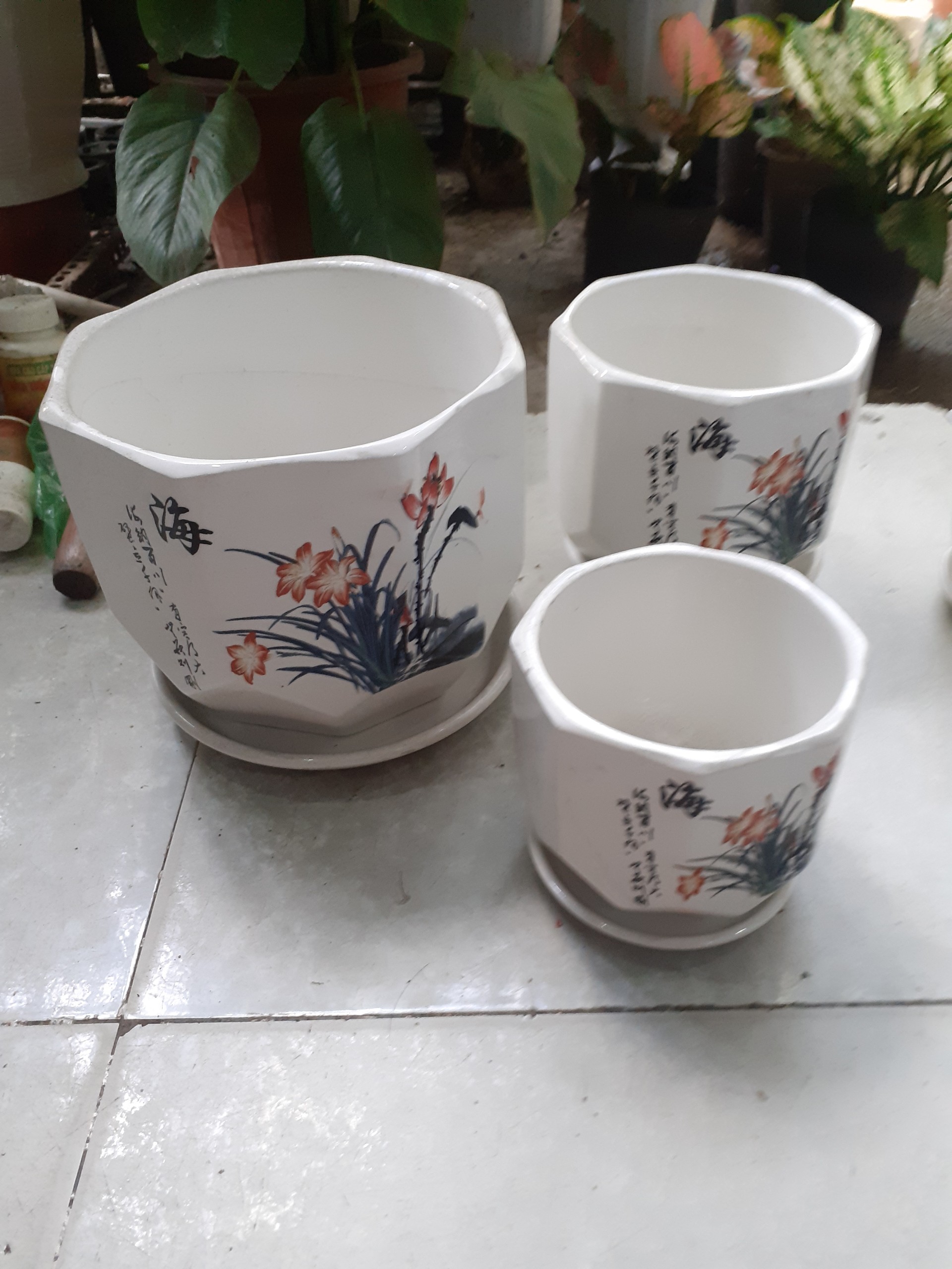 Chậu kèm dĩa BÁT GIÁC hoa