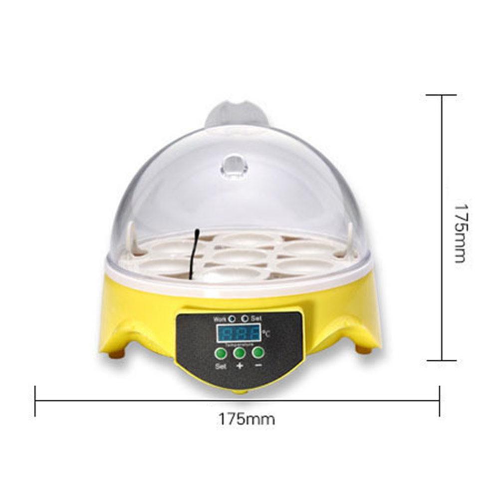 Máy ấp trứng tự động chứa được 7 trứng cho hộ gia đình