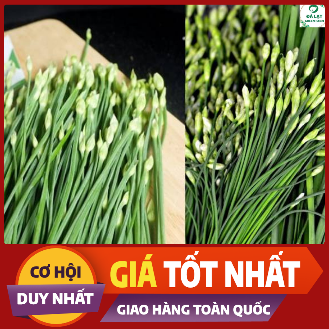 1GR - HẠT GIỐNG HẸ BÔNG