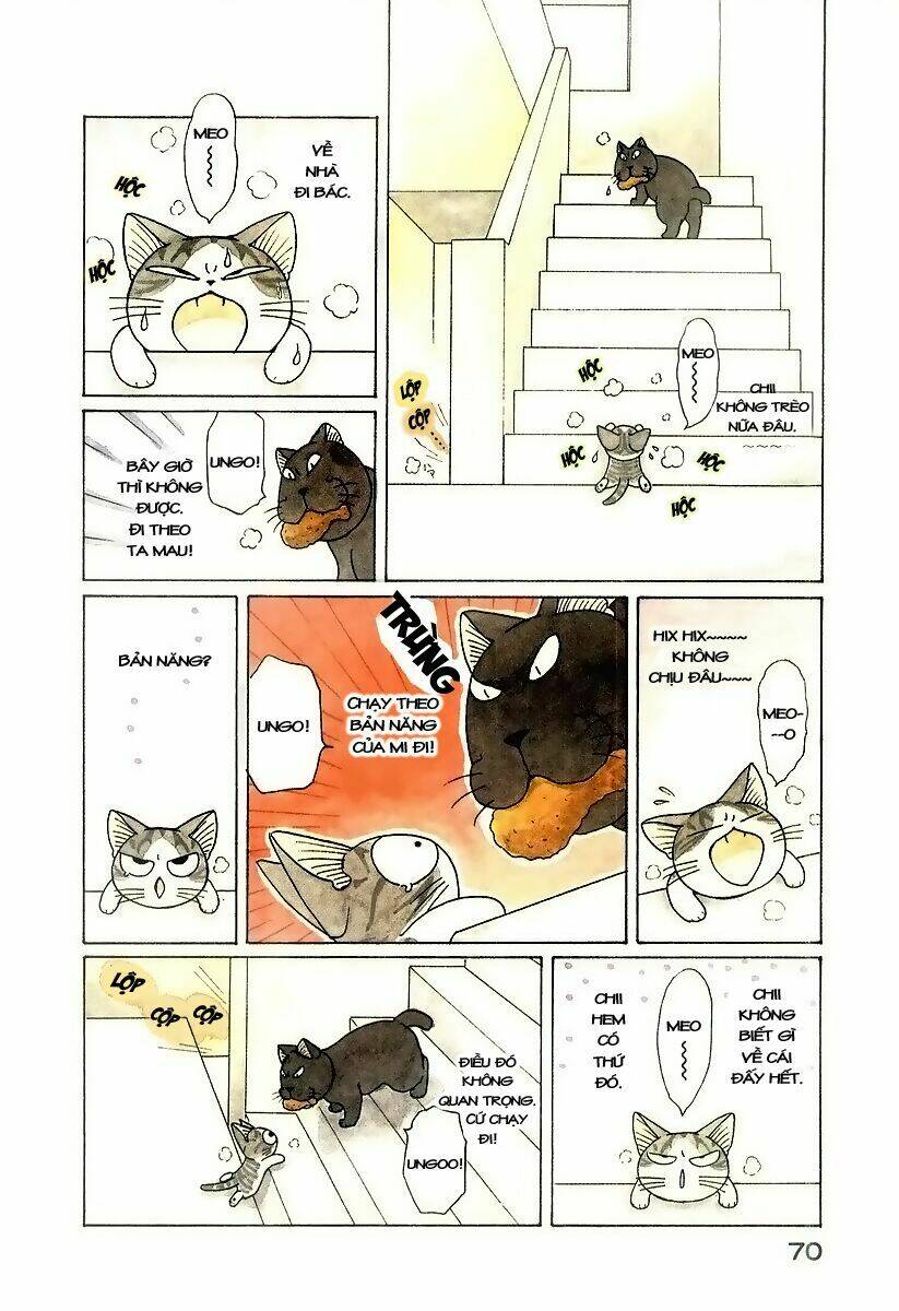 chi's sweet home chapter 47 7