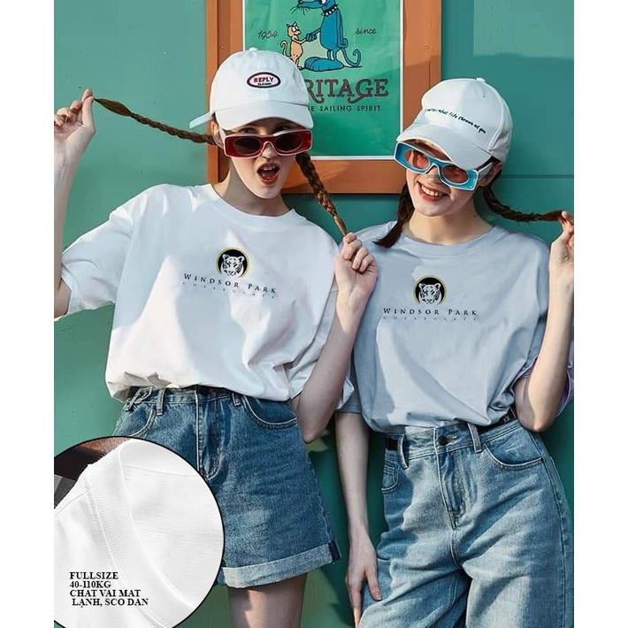 Áo thun cao cấp, có Bigsize từ S đến 8XL, vải cotton mịn, mặc thoáng mát, mẫu ATNN95- Thời Trang Waoo