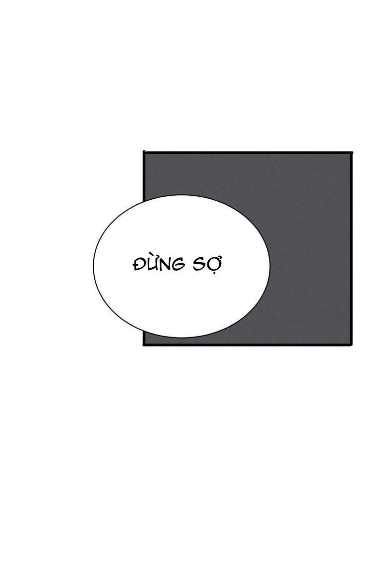 nhất tiễn khuynh tâm chapter 21 28