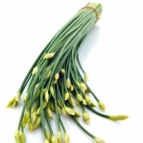 Hạt giống Hẹ Bông lâu năm