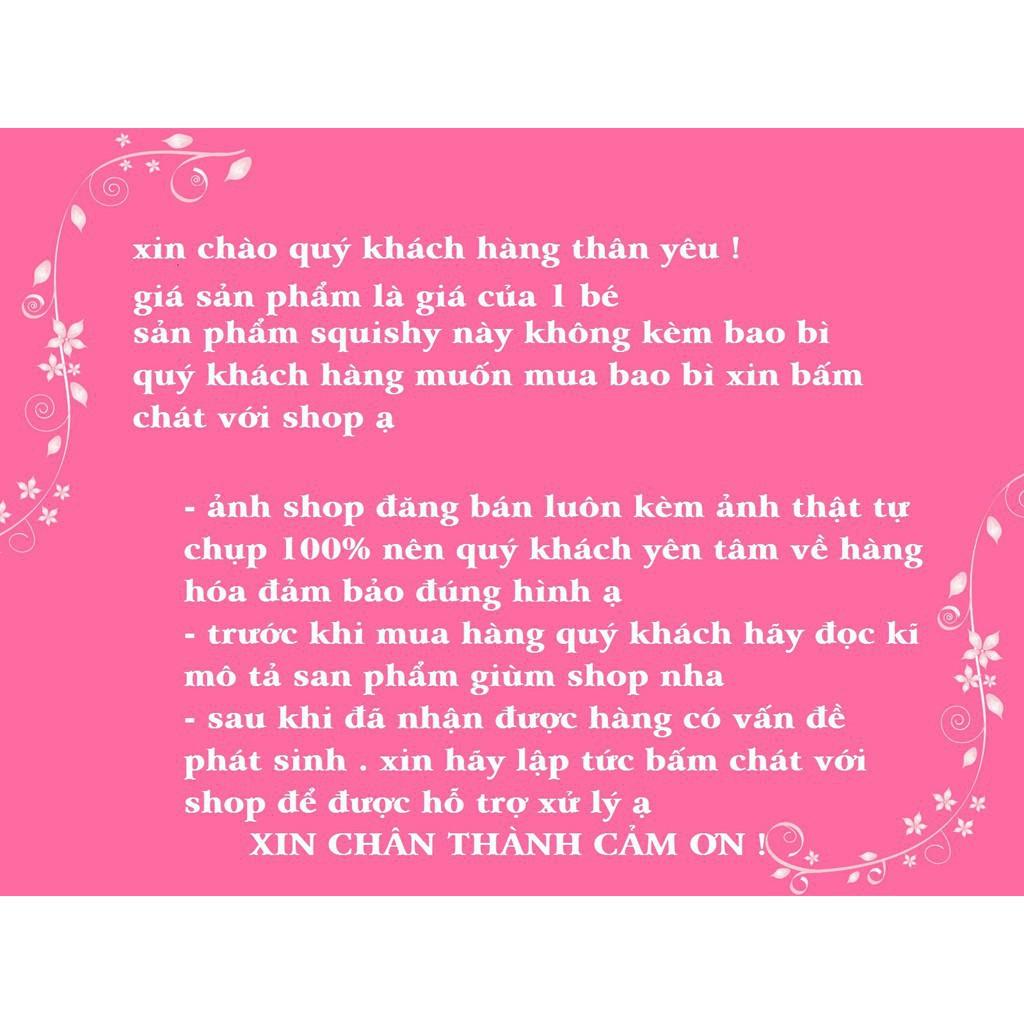 SQUISHY NỦA QUẢ CÀ CHUA