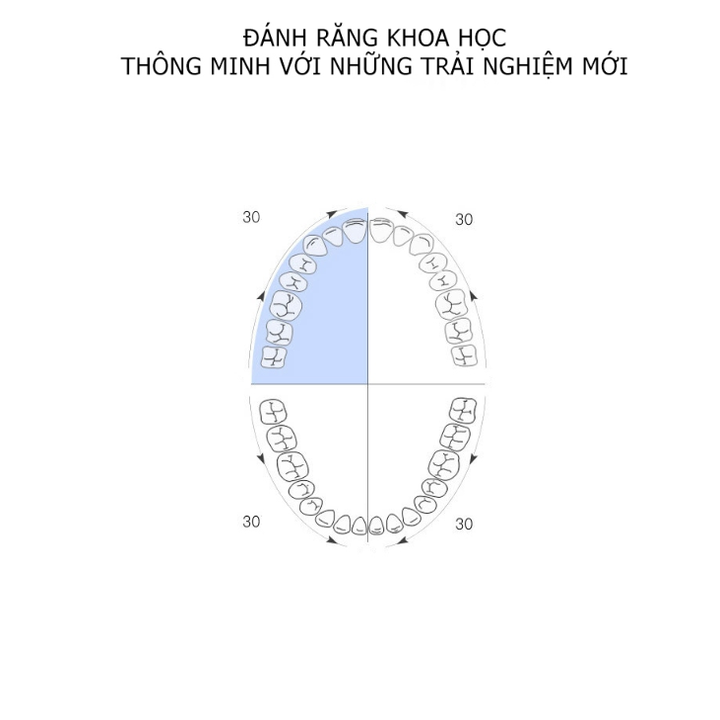 Đầu bàn chải đánh răng điện Philips HX6011-Hàng chính hãng