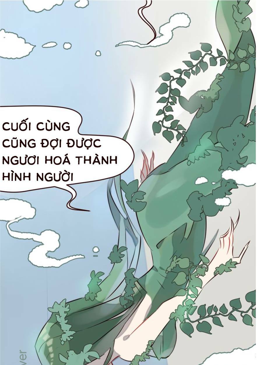 tiên thảo diệu kỳ chapter 2 14