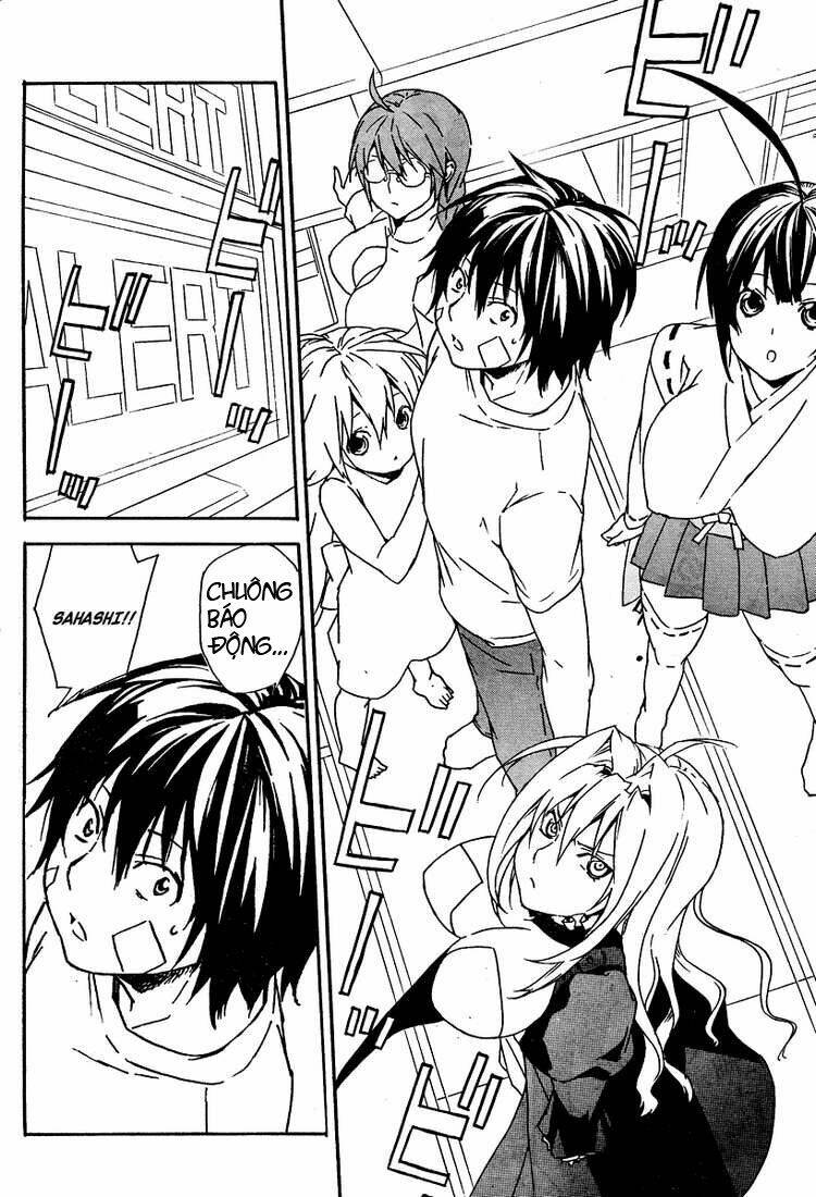 sekirei chapter 74 6