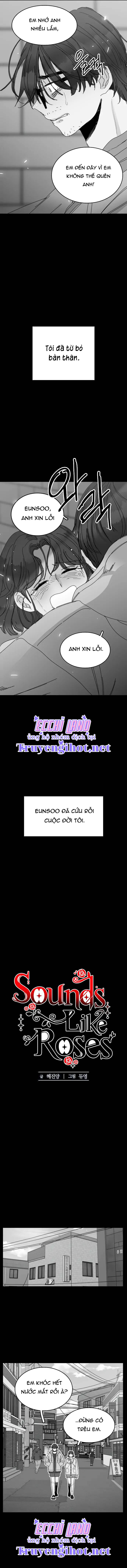 thanh âm tựa hoa hồng chapter 20.1 7