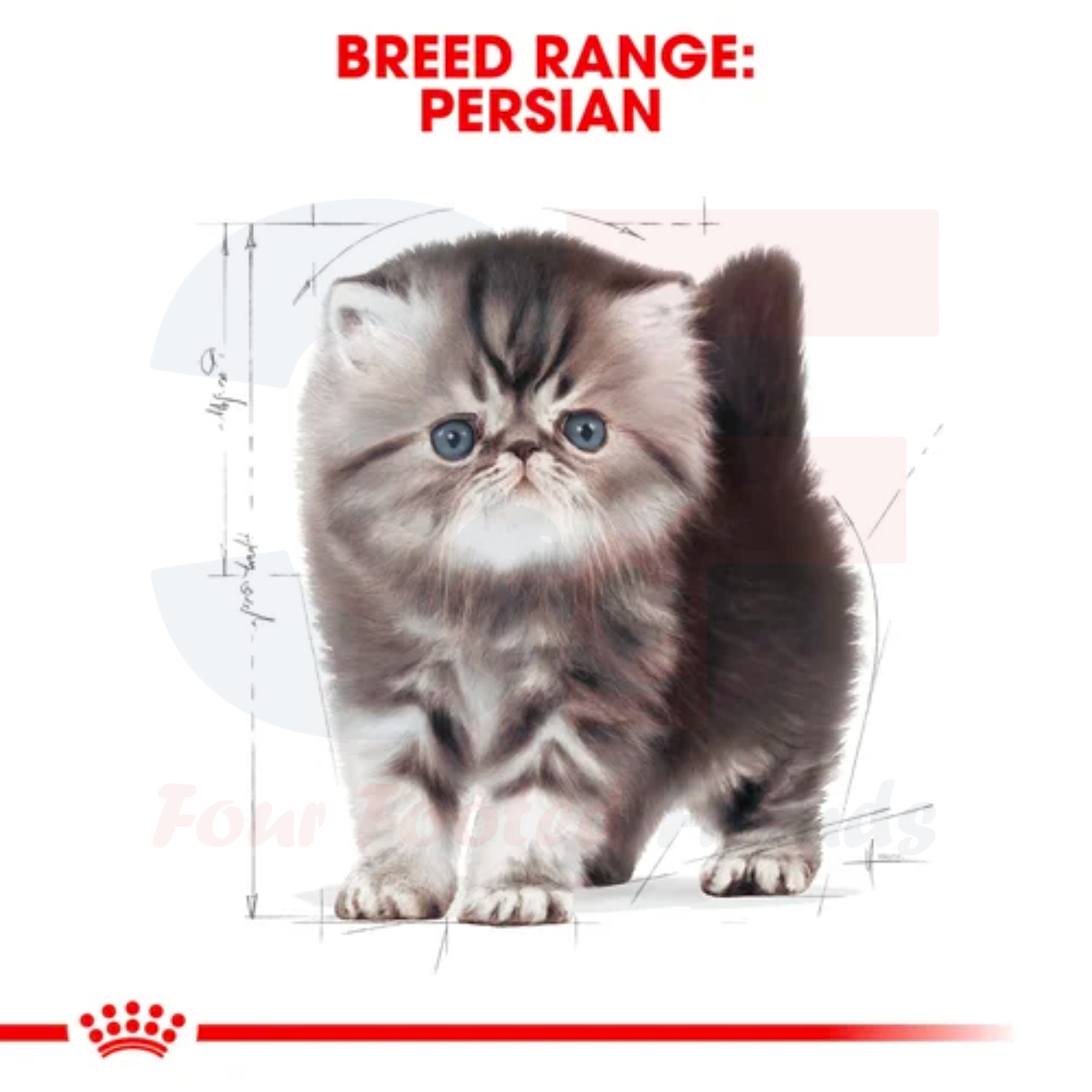 Thức Ăn Cho Mèo Ba Tư từ 4-12 Tháng Tuổi Royal Canin Persian Kitten