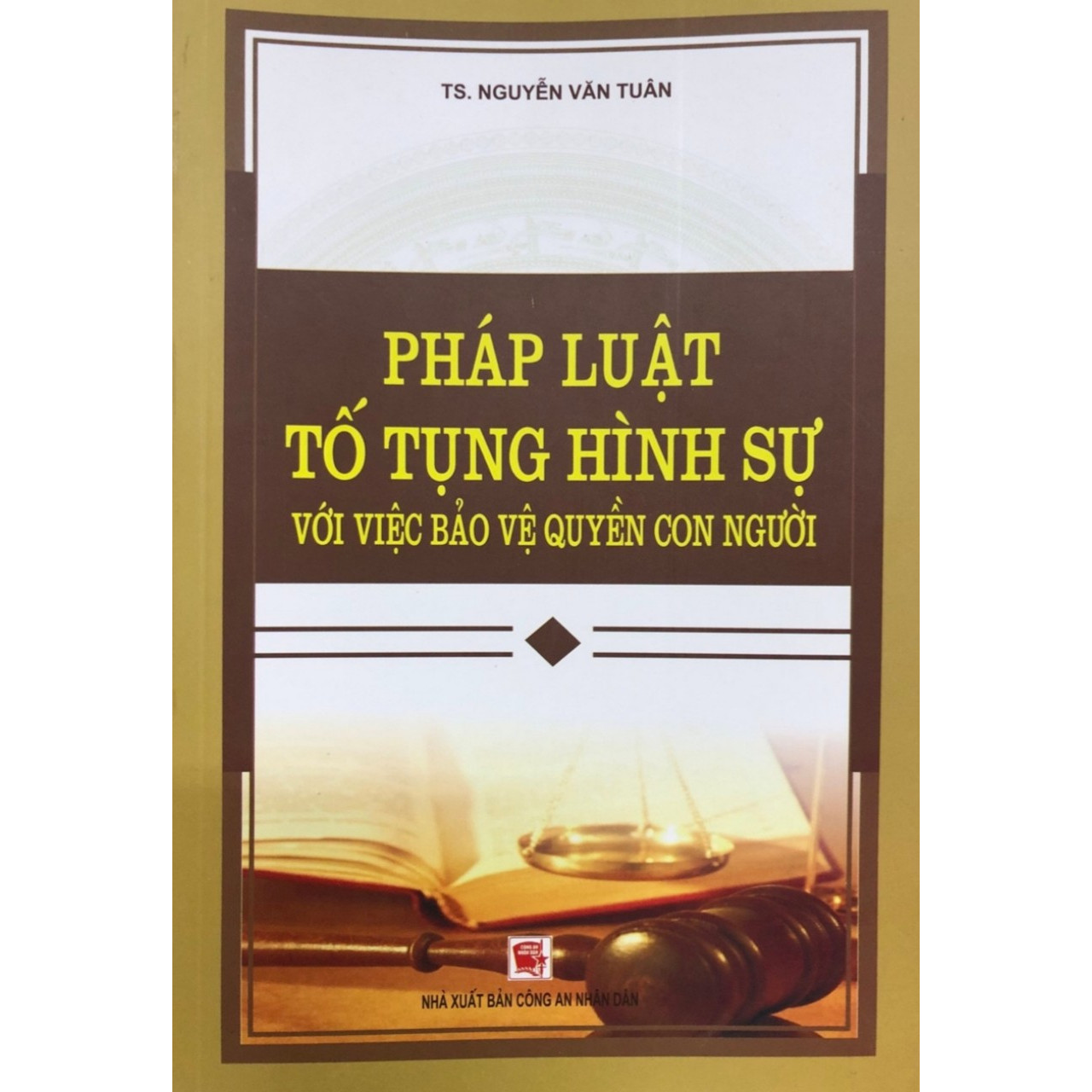 Sách - Pháp Luật Tố Tụng Hình Sự Với Việc Bảo Vệ Quyền Con Người (TS. Nguyễn Văn Tuân)