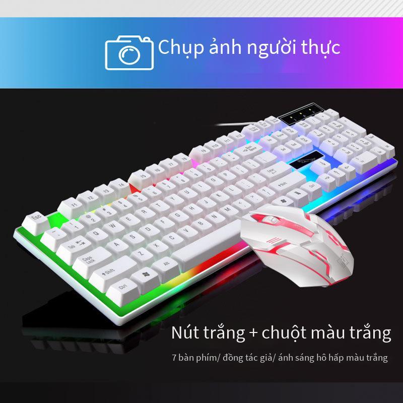 Khuyến mãi bộ bàn phím và chuột đuổi bắt ánh sáng da báo G21B bộ bàn phím và chuột có dây usb bộ thao tác có dây bộ bàn phím và chuột da tôm eBay