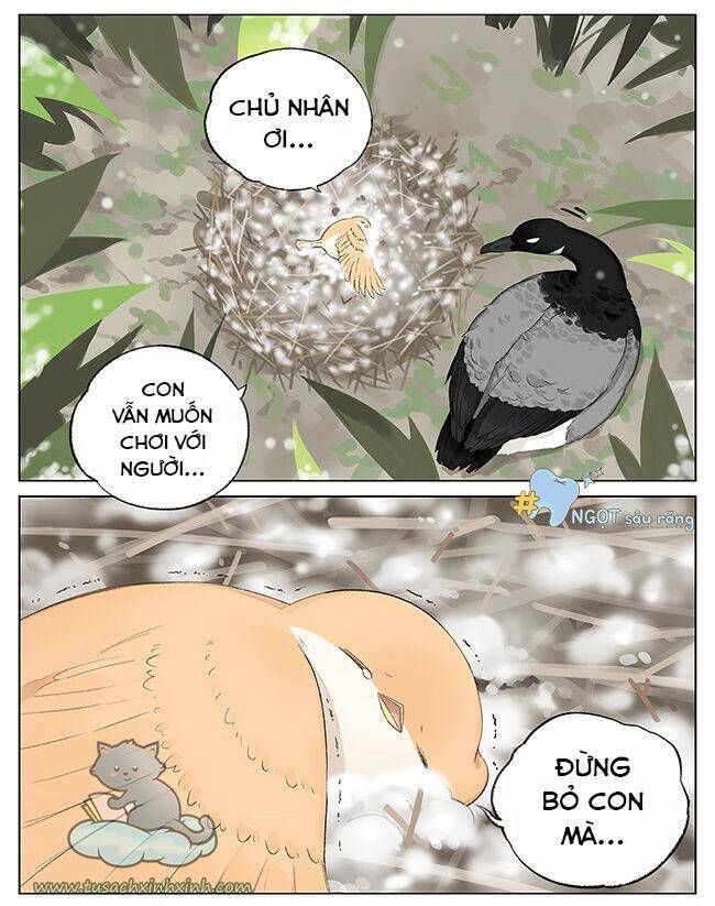 chim sẻ gọi ngỗng trời chapter 5 10