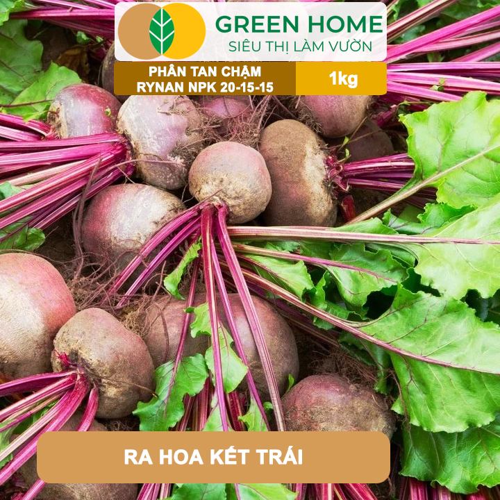 Phân Tan Chậm GreenHome, Rynan NPK 20-15-15, Túi 1kg, Dùng Cho Loại Cây Họ Leo Bầu Bí, Mướp, Dưa Leo