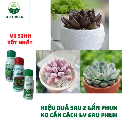 Phân bón cho sen đá,Thuốc trừ diệt sâu nấm bệnh sinh học hữu cơ TSBIO trị đốm đen,rệp sáp,thối thân lá rễ,sâu ăn thân