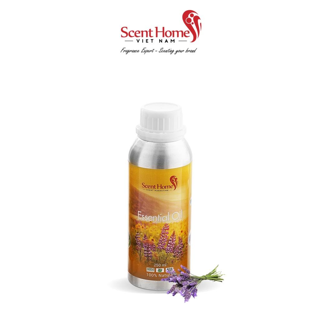 Tinh dầu Scent Homes - mùi hương (Lavender UK)
