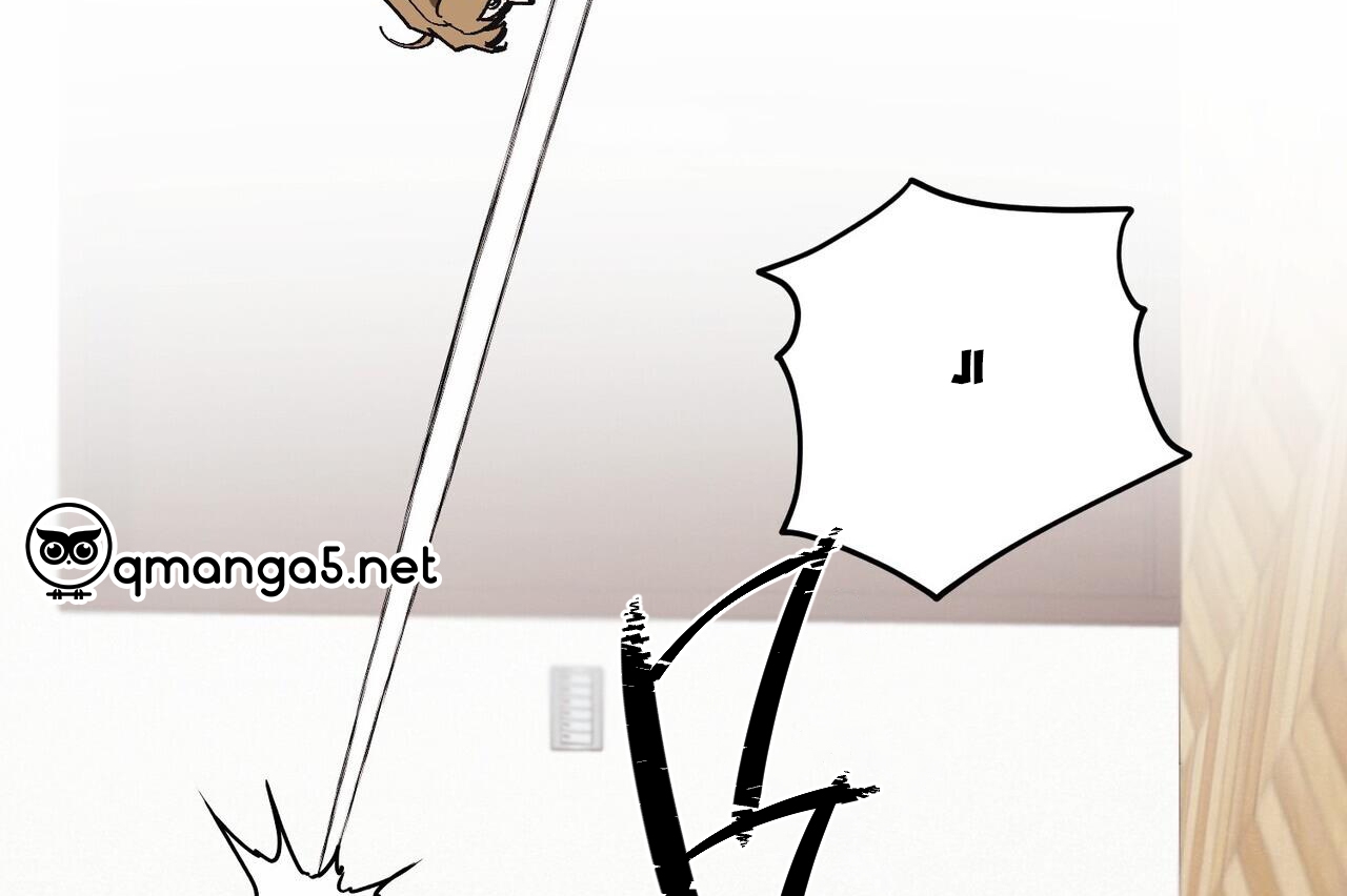 chàng dâu nhà họ kang chapter 31 43