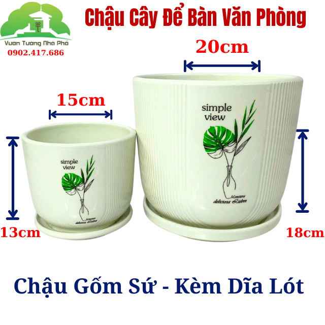 Chậu Cây Để Bàn Nhỏ Văn Phòng (1 bộ chậu và Cây Vạn Lộc Đỏ) cây trong nhà trang trí may mắn
