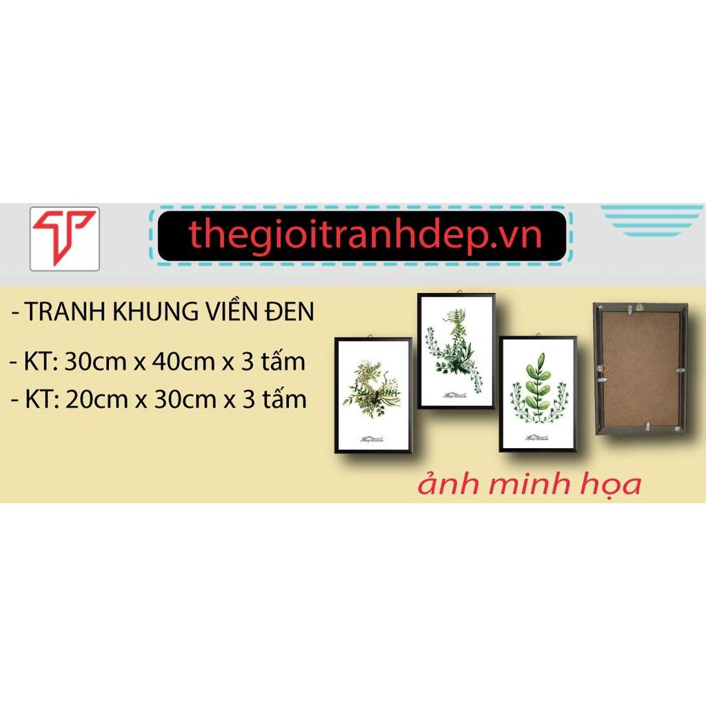 Tranh ghép bộ 3, tranh phong cảnh trang trí phòng khách, nhà hàng, khách sạ, căn hộ, tranh trang trí văn phòng