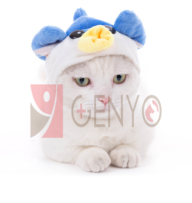 Nón trùm đầu cho thú cưng - Genyo pet hat 003 ( một cái, màu và mẫu giao ngẫu nhiên )