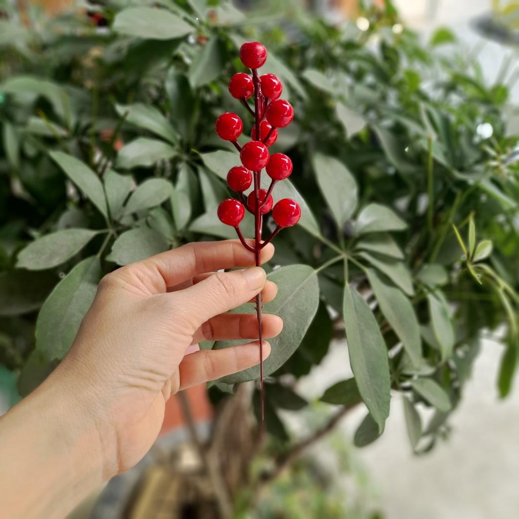 Nhánh đào đông 12 quả cao 20cm- phụ kiện trang trí- Làm oản, vòng nguyệt quế, chậu đào đông