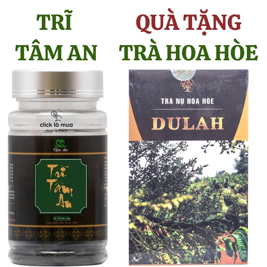 Giảm táo bón, nhuận tràng, co búi Trĩ tâm an giảm phù nề, các triệu chứng của trĩ, tăng cường sức bền mạch máu 60 viên