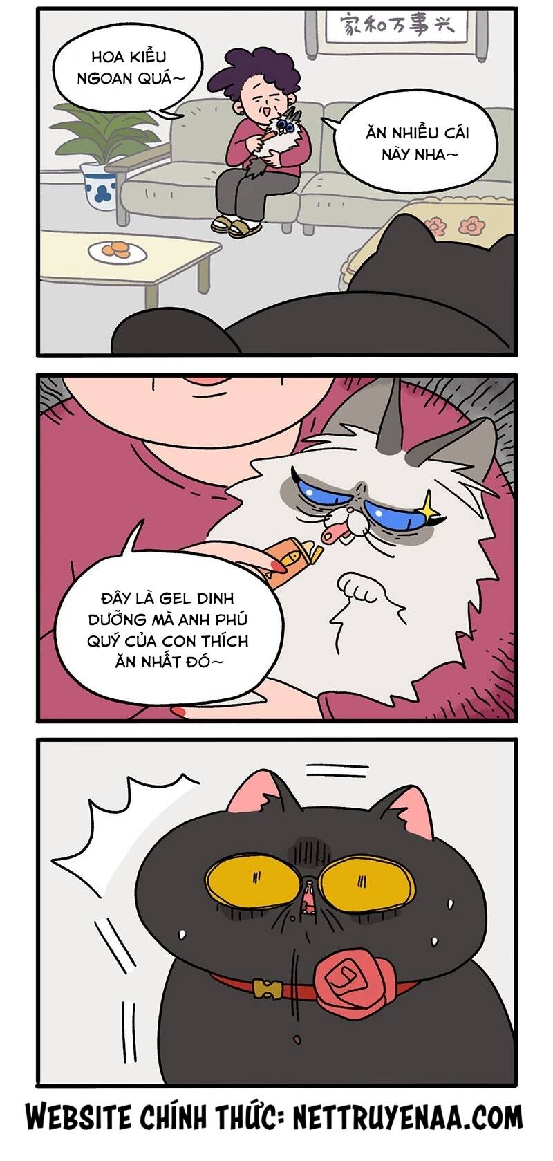 a mãn và mạch trà chapter 16 2