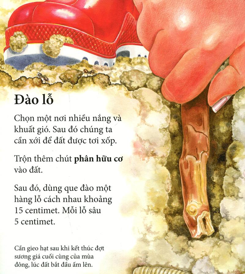 Cây Ơi Lớn Mau