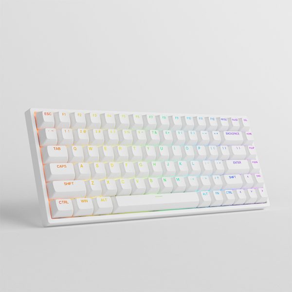 Bàn phím AKKO 3084 v2 RGB Black/White (Mới, hàng chính hãng)