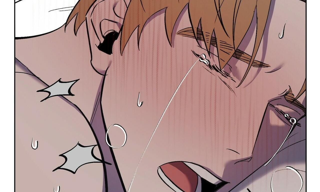 chàng dâu nhà họ kang chapter 20 26