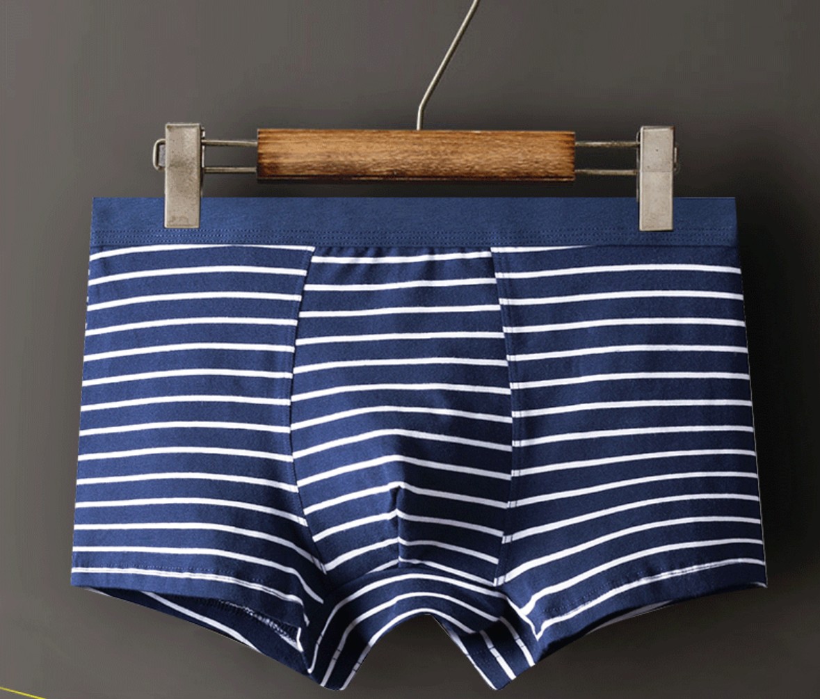 COMBO 4 quần lót nam cao cấp chất cotton kẻ ngang trẻ trung QA389