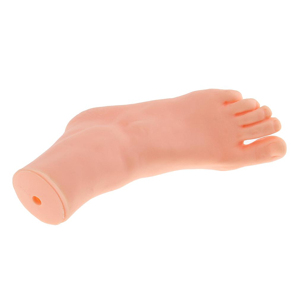 6x21.5cm Female Left Foot Mannequin Dummy Mould Sandal Shoe Sock Display Model
