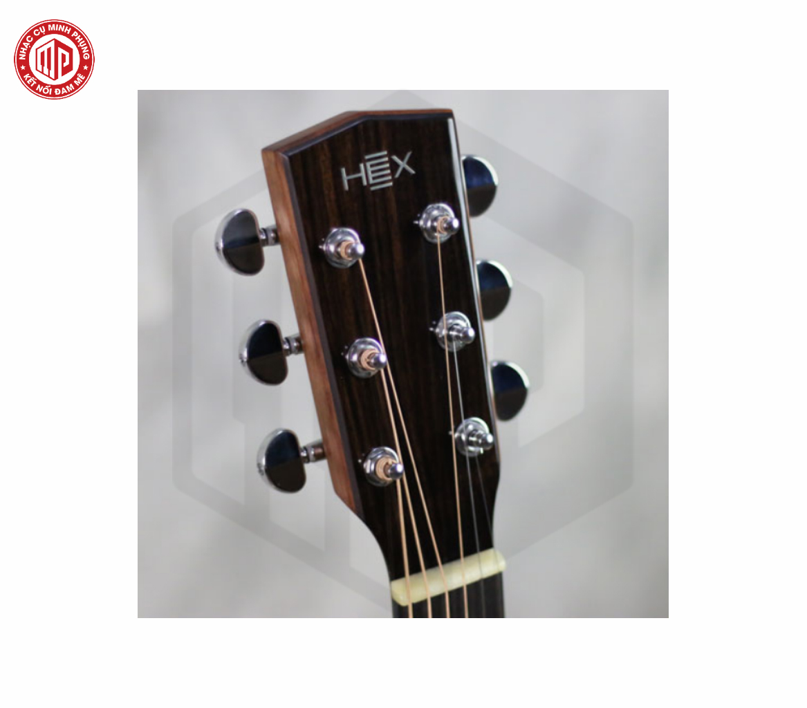 Đàn Guitar Acoustic Hex D350CE - Hàng chính hãng